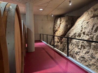 Od rijetkih berbi do premium vina