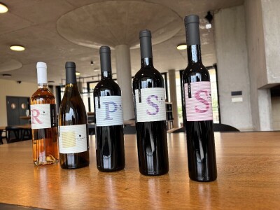 Od rijetkih berbi do premium vina