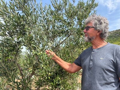 Od rijetkih berbi do premium vina