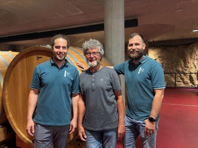 Od rijetkih berbi do premium vina