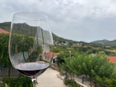 Od rijetkih berbi do premium vina