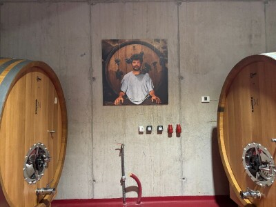 Od rijetkih berbi do premium vina