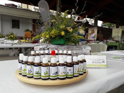 Od tikve do travarice kraljice - lufa za higijenu, sikavica za jetru Od tikve do travarice kraljice - lufa za higijenu, sikavica za jetru