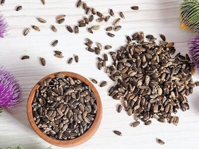 Od tikve do travarice kraljice - lufa za higijenu, sikavica za jetru Od tikve do travarice kraljice - lufa za higijenu, sikavica za jetru