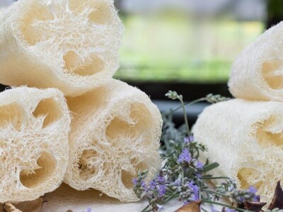 Od tikve do travarice kraljice - lufa za higijenu, sikavica za jetru Od tikve do travarice kraljice - lufa za higijenu, sikavica za jetru