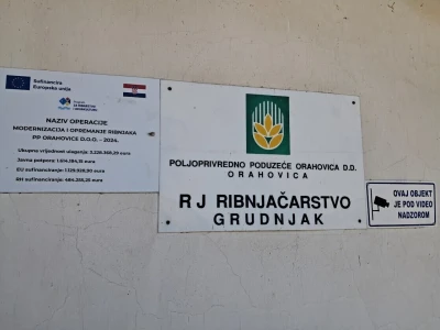 Od vode do stola: Izlov ribe na ribnjaku Grudnjak