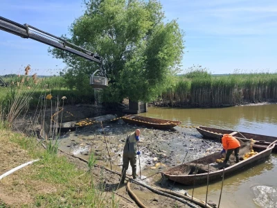 Od vode do stola: Izlov ribe na ribnjaku Grudnjak