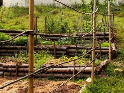 Od vrta na krovu u centru Zagreba do uzgoja povrća u krškom tlu Gorskog kotara