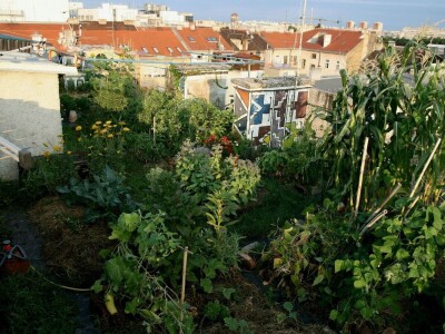 Od vrta na krovu u centru Zagreba do uzgoja povrća u krškom tlu Gorskog kotara