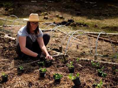 Od vrta na krovu u centru Zagreba do uzgoja povrća u krškom tlu Gorskog kotara