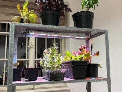 Od vrta na krovu u centru Zagreba do uzgoja povrća u krškom tlu Gorskog kotara