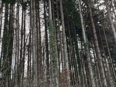 Odbor za poljoprivredu