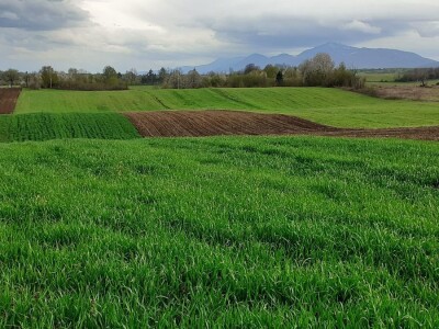 Odbor za poljoprivredu o proračunu