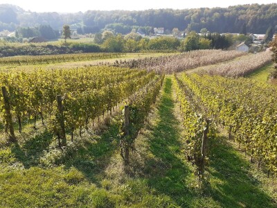 Odbor za poljoprivredu o proračunu