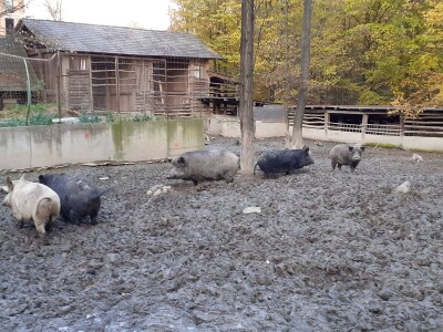 Odbor za poljoprivredu o proračunu