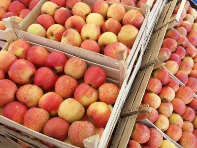 Odbor za poljoprivredu o proračunu