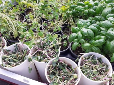 Odbor za poljoprivredu o proračunu