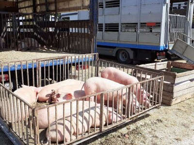 Odbor za poljoprivredu o proračunu