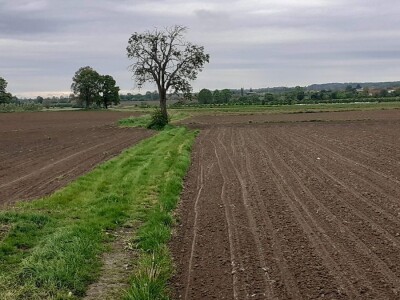 Odbor za poljoprivredu o proračunu