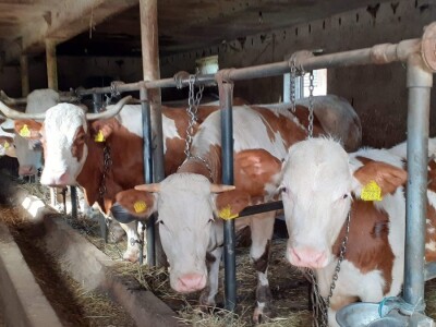 Odbor za poljoprivredu o proračunu