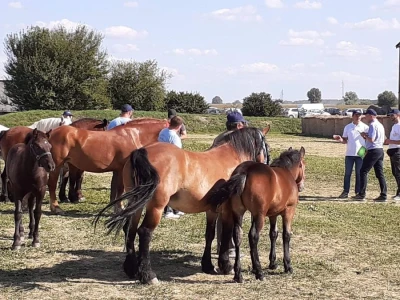 Odbor za  poljoprivredu o veterinarstvu