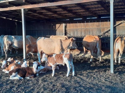 Odbor za  poljoprivredu o veterinarstvu
