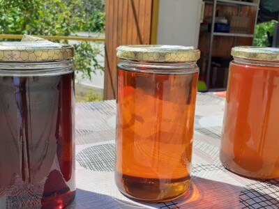 Odbor za poljoprivredu u Sloveniji