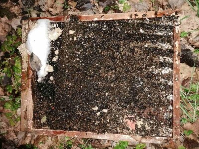 Odbor za poljoprivredu u Sloveniji