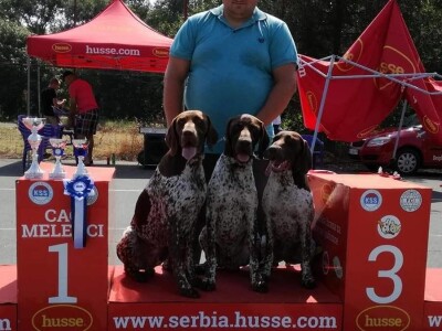 Odgajivačnica pasa "Von Haus Moravac"