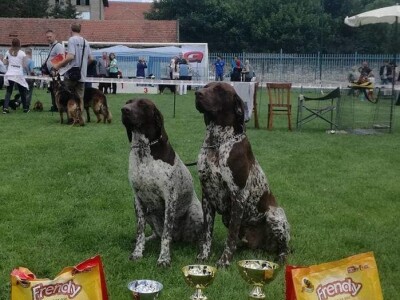 Odgajivačnica pasa "Von Haus Moravac"