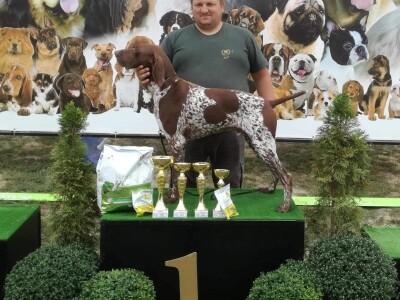 Odgajivačnica pasa "Von Haus Moravac"