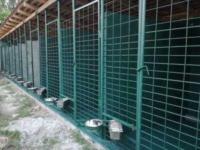 Odgajivačnica pasa "Von Haus Moravac"