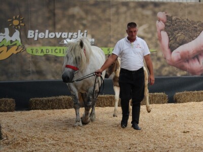 Odlična posjeta Gudovca u subotu