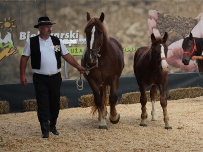 Odlična posjeta Gudovca u subotu