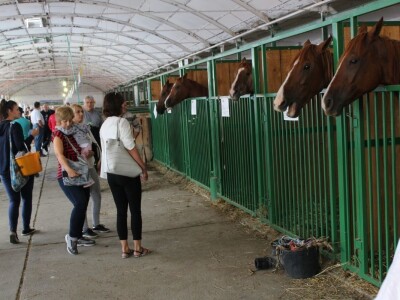 Odlična posjeta Gudovca u subotu