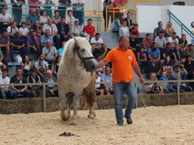 Odlična posjeta Gudovca u subotu