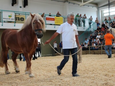 Odlična posjeta Gudovca u subotu