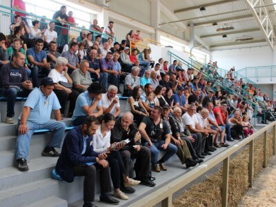 Odlična posjeta Gudovca u subotu