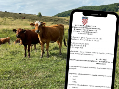 Određeni bedrenički distrikti