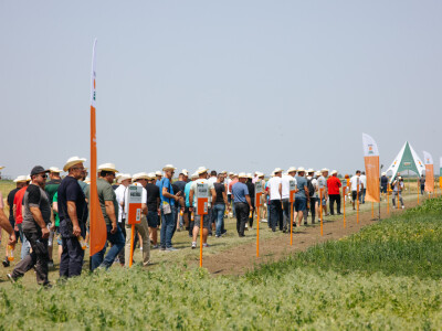 Održan centralni KWS dan polja