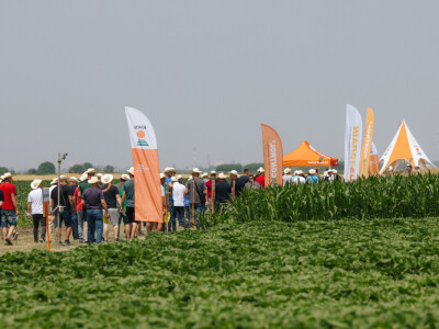 Održan centralni KWS dan polja