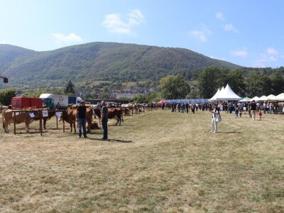 Održan čuveni rogatički sajam