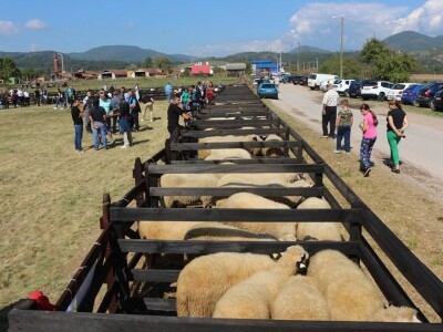 Održan čuveni rogatički sajam