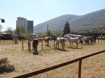 Održan čuveni rogatički sajam