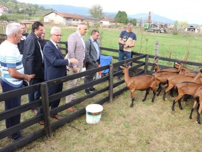 Održan čuveni rogatički sajam