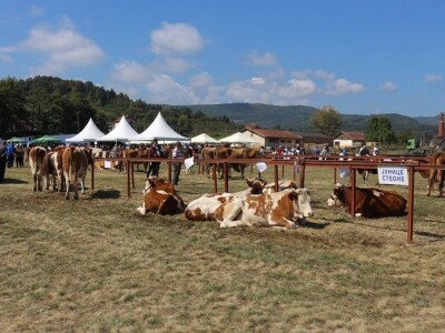 Održan čuveni rogatički sajam