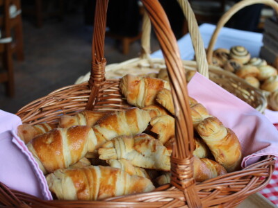 Održan seminar "Farmski menadžment i izazovi na svinjogojskim farmama"