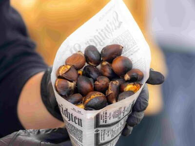 Održana 26. Kestenijada u Svetom Ivanu Zelini