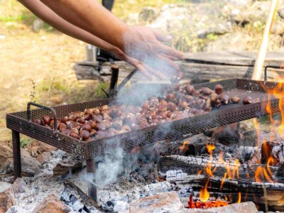 Održana 26. Kestenijada u Svetom Ivanu Zelini