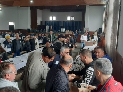 Održana prva rakijada u Trnavi, foto:: M. Lazarević